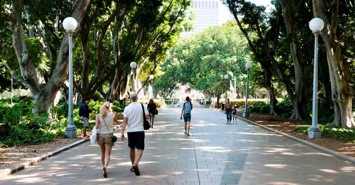 Group of people walking down a park with trees