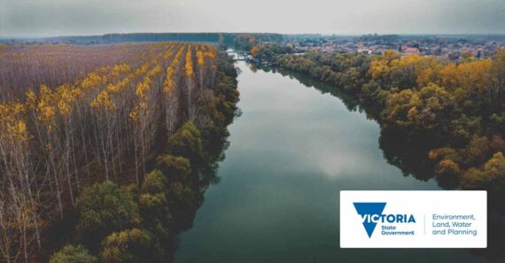 Landscape of a forrest and a river