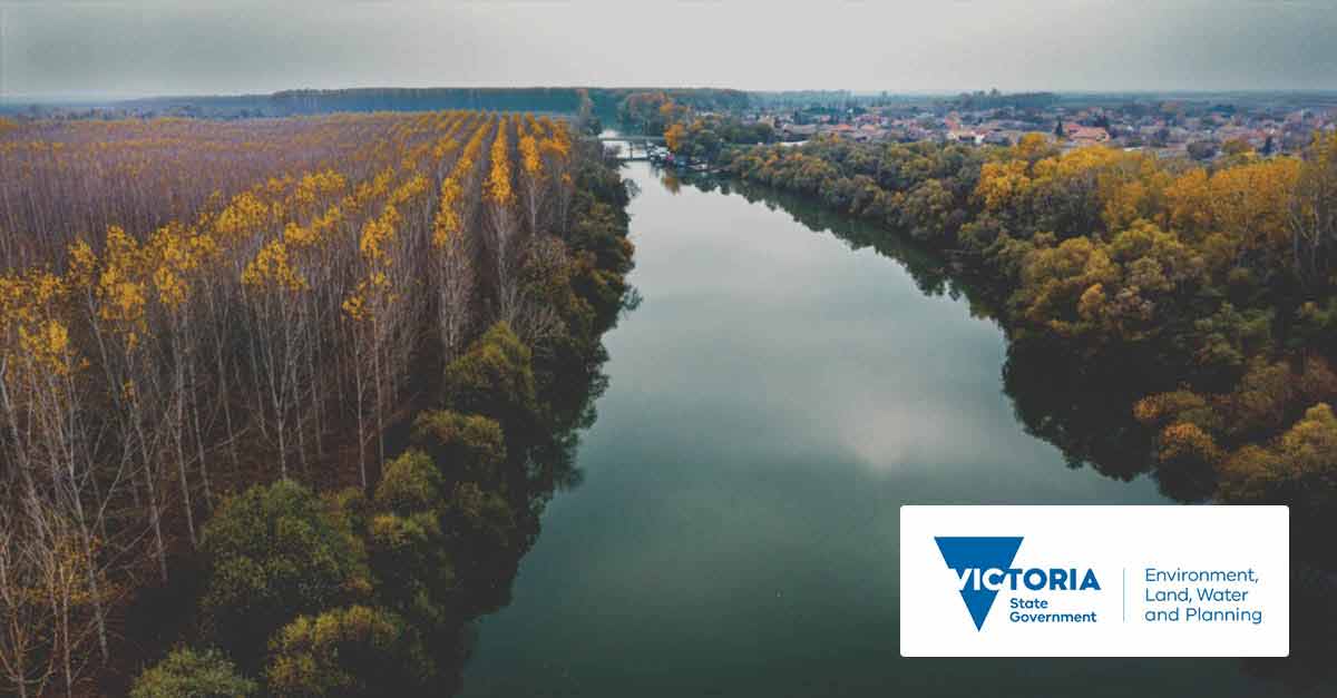 Landscape of a forrest and a river