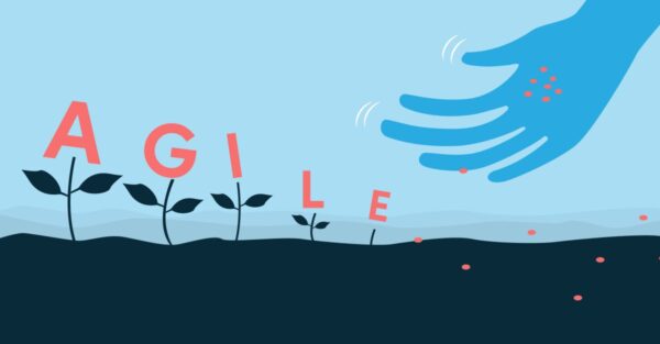 Illustration of embedding Agile