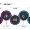 Graphic showing the 5 stages of the product lifecycle