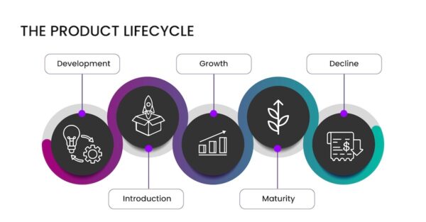 Graphic showing the 5 stages of the product lifecycle